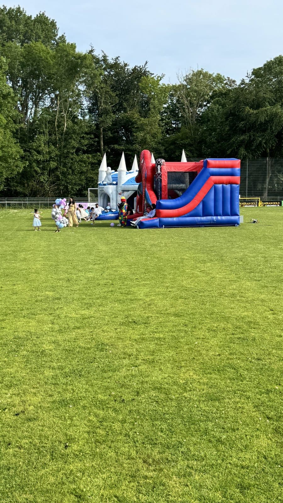 Frozen en Spider-Man springkussen met ballonnen op het veld